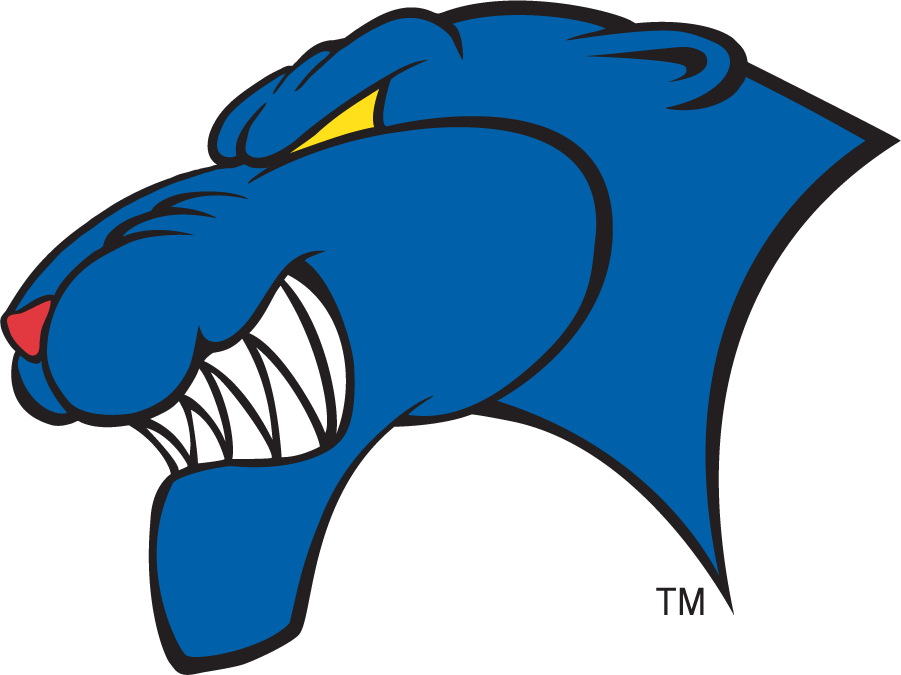 Georgia State Panthers 2002-2009 Alternate Logo iron on transfers for T-shirts